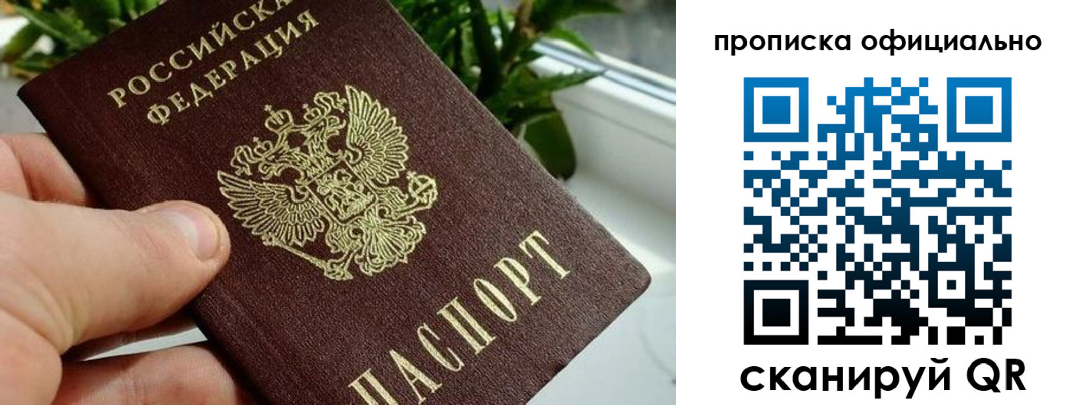 прописка поиск в Цимлянске